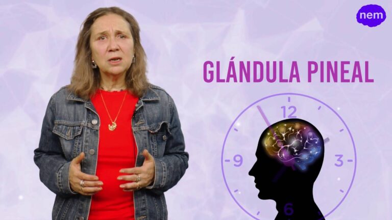 La Interconexi&oacute;n entre la Memoria y las Emociones en el Funcionamiento Cerebral