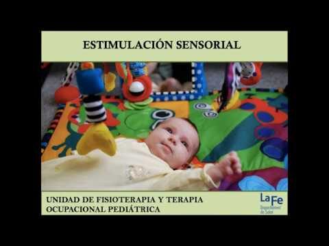 Impacto de los Est&iacute;mulos Sensoriales en el Aprendizaje