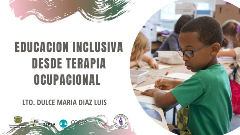 Inclusi&oacute;n Educativa y Terapia Ocupacional en Educaci&oacute;n Especial