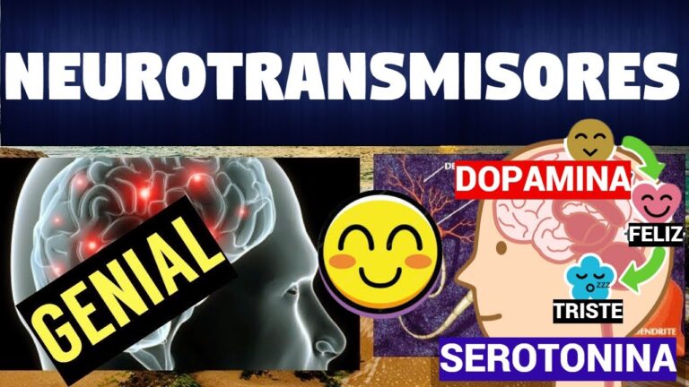 Neurotransmisores Clave para el Aprendizaje Efectivo