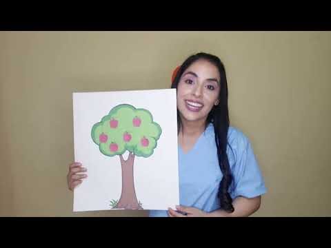 Recursos Did&aacute;cticos Efectivos para el Autismo Educativo