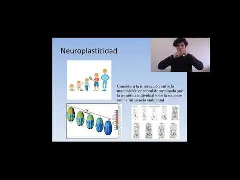 Estimulaci&oacute;n Cognitiva para Estudiantes con Necesidades Especiales