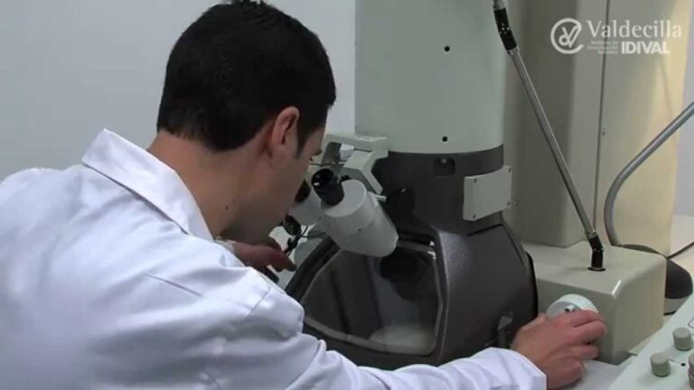 La Relevancia de la Educaci&oacute;n STEM en la Biomedicina Avanzada