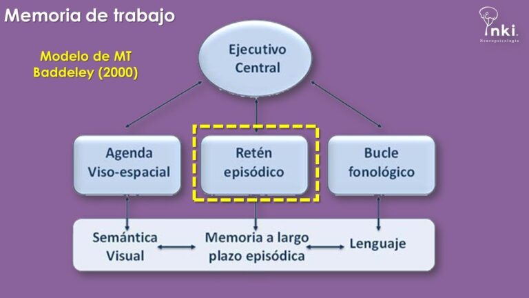 La importancia del desarrollo cognitivo en la memoria a corto plazo