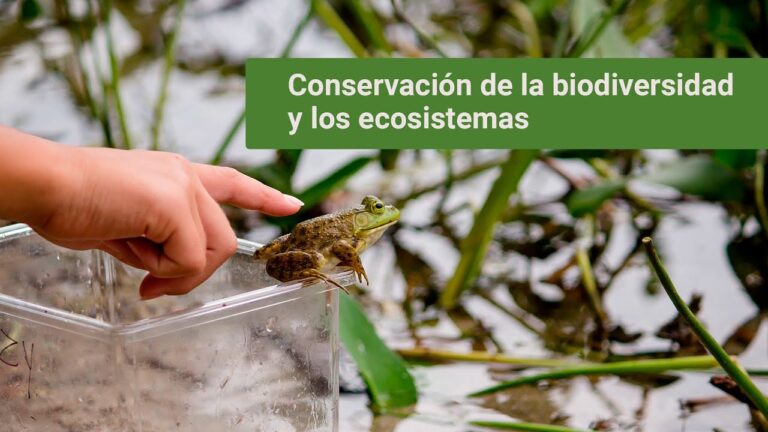 Programas Educativos para Proteger la Biodiversidad