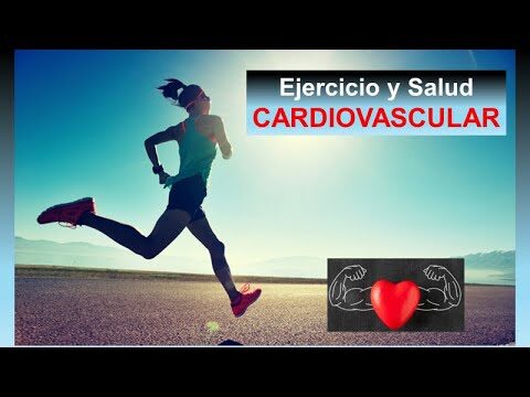 Beneficios de la Educaci&oacute;n F&iacute;sica en la Salud Cardiovascular