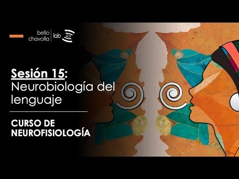 Neurofisiolog&iacute;a y Aprendizaje del Lenguaje: Claves para la Comprensi&oacute;n
