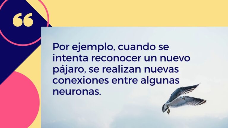 Aprendizaje Significativo: La Clave de la Plasticidad Sináptica
