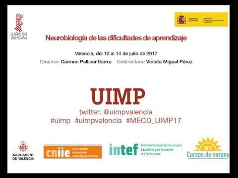 Neurociencia Educativa y Plasticidad Cerebral: Claves para el Aprendizaje Efectivo