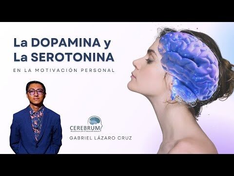 La relaci&oacute;n entre motivaci&oacute;n y neurociencia