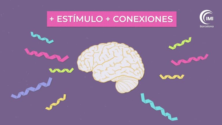 Neurociencia y Desarrollo Cerebral en el Aprendizaje