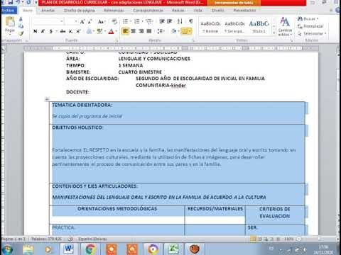 Adaptaciones Curriculares en Terapia Ocupacional para Educaci&oacute;n Especial