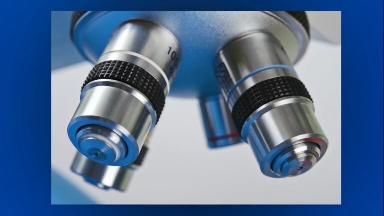 Innovaci&oacute;n Educativa en Nanotecnolog&iacute;a: Transformando el Aprendizaje