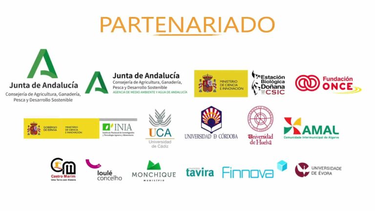 Desarrollo Sostenible a trav&eacute;s del Partenariado Social en Educaci&oacute;n y Sociedad