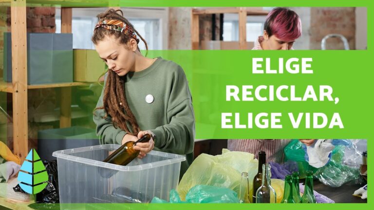 Impacto del Reciclaje en la Educaci&oacute;n Sostenible