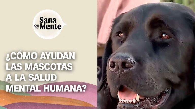 El V&iacute;nculo entre Apoyo Psicol&oacute;gico y Bienestar Emocional