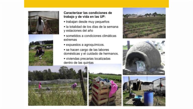 Educaci&oacute;n Sostenible: Estrategias para Instituciones Educativas