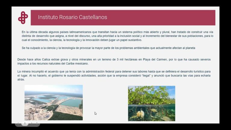 Educaci&oacute;n de Calidad: Pilar para una Sociedad Justa y Equitativa
