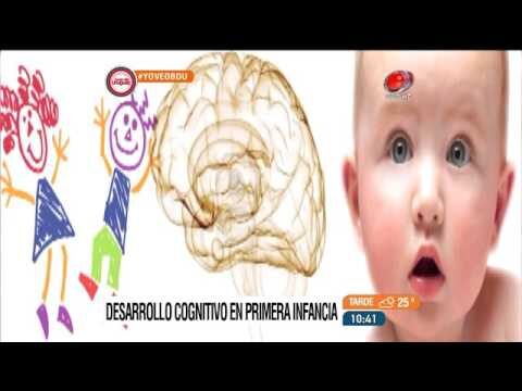 Conexi&oacute;n entre Estimulaci&oacute;n Temprana y Desarrollo Cognitivo Infantil