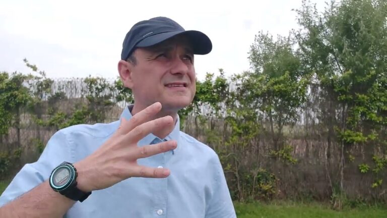 Desarrollo de Habilidades Creativas a Trav&eacute;s de Met&aacute;foras