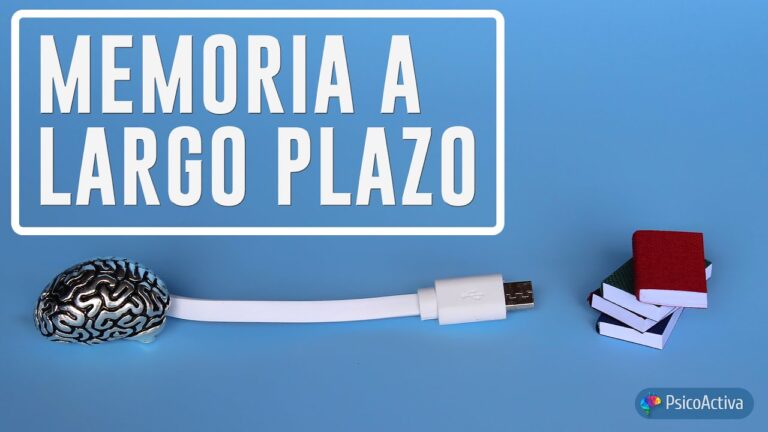 Mejorando la Memoria a Corto Plazo mediante el Desarrollo Cognitivo