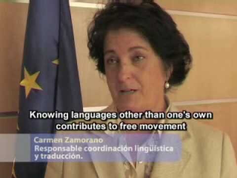 Diferencias Clave entre Biling&uuml;ismo y Multiling&uuml;ismo en la Traducci&oacute;n