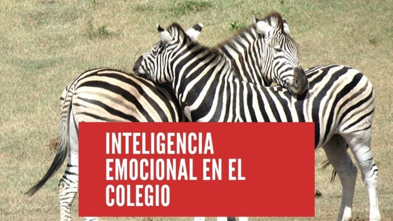 Mejorando la Convivencia a trav&eacute;s de la Educaci&oacute;n Emocional