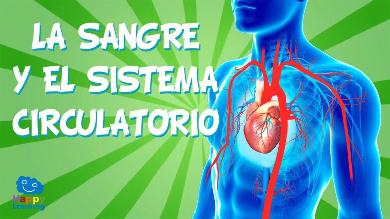 La educaci&oacute;n f&iacute;sica: clave para una salud cardiovascular &oacute;ptima