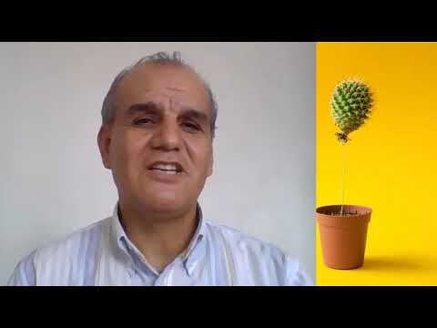 Transformaci&oacute;n del Aprendizaje Remoto en la Educaci&oacute;n Secundaria