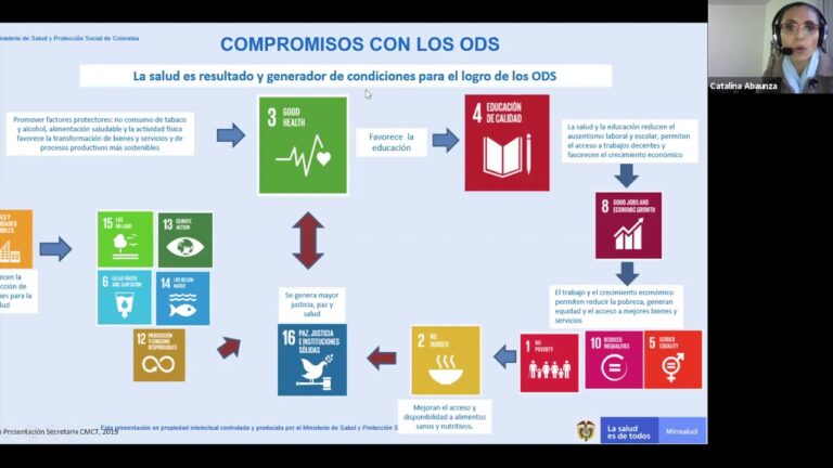 La conexi&oacute;n entre educaci&oacute;n f&iacute;sica y salud en situaciones de estr&eacute;s