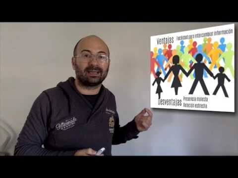 La Conexi&oacute;n Vital entre Educaci&oacute;n y Familia