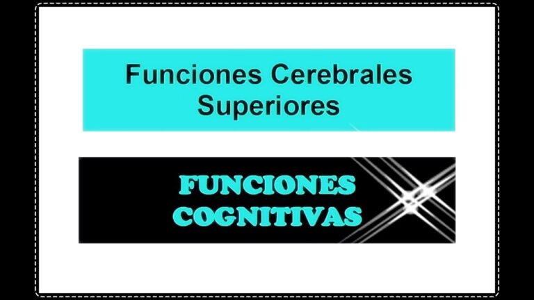 Desarrollo Cognitivo y Funciones Cerebrales: Claves para el Aprendizaje Efectivo