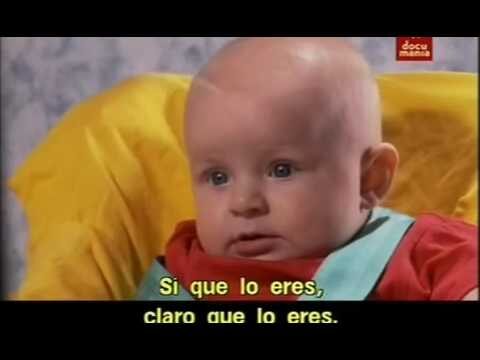 Desarrollo Cognitivo y Procesos Ling&uuml;&iacute;sticos en la Infancia