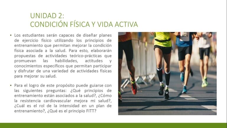 Promoci&oacute;n de Estilos de Vida Saludables mediante Educaci&oacute;n F&iacute;sica y Salud Cardiovascular