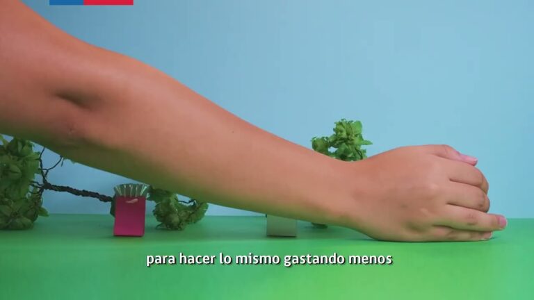 Educaci&oacute;n para la Sostenibilidad: Fomentando H&aacute;bitos Sostenibles