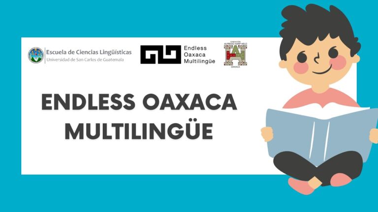 Desarrollo de Habilidades Ling&uuml;&iacute;sticas en la Interpretaci&oacute;n Multiling&uuml;e
