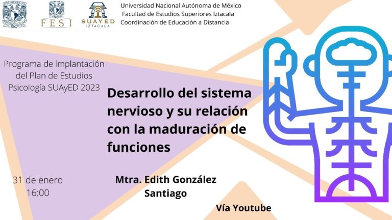 Plasticidad Cerebral y Procesamiento Sensorial: Una Conexi&oacute;n Esencial