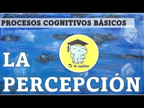 La conexi&oacute;n entre desarrollo cognitivo y percepci&oacute;n sensorial