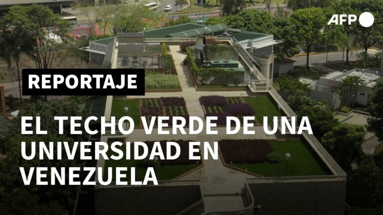 Fomentando la Sostenibilidad y Conciencia Ambiental en el Aula
