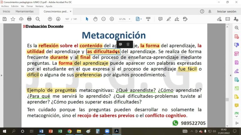 Reflexi&oacute;n Cr&iacute;tica sobre el Desarrollo Metacognitivo